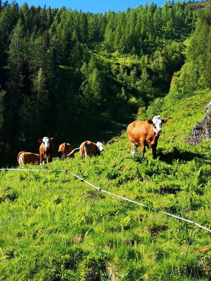 Ferienwohnung Bauernhof Obererlach Bramberg am Wildkogel Esterno foto