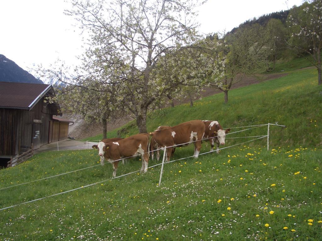Ferienwohnung Bauernhof Obererlach Bramberg am Wildkogel Esterno foto