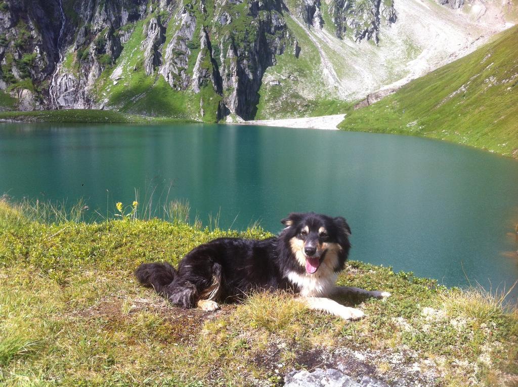 Ferienwohnung Bauernhof Obererlach Bramberg am Wildkogel Esterno foto