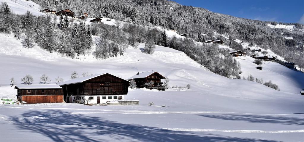 Ferienwohnung Bauernhof Obererlach Bramberg am Wildkogel Esterno foto